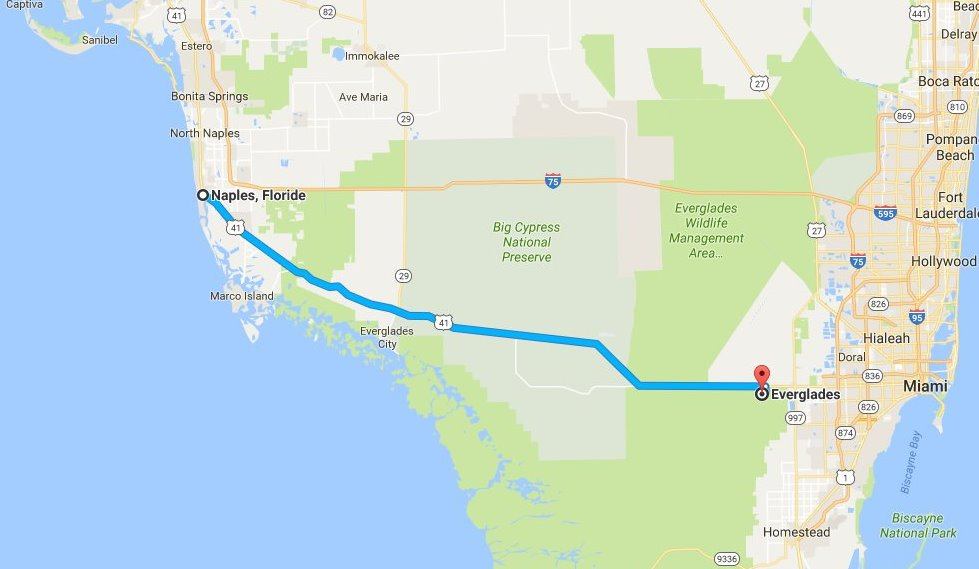 naples-everglades