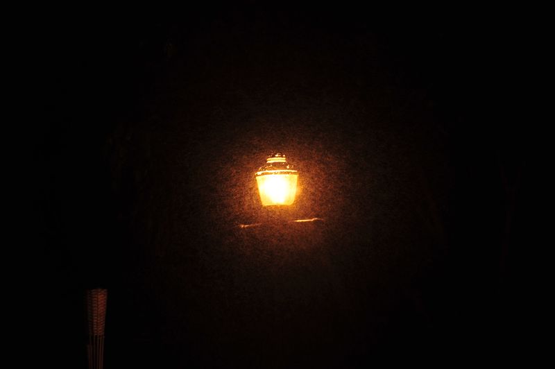 Nuée de moucherons Nuée de moucherons