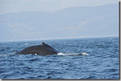 13-10-02_16-35-29_01