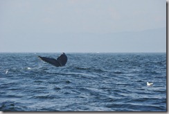 13-10-02_16-43-31_03