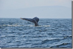 13-10-02_16-45-55_01