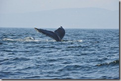 13-10-02_16-45-55_02