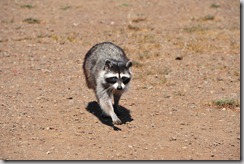 14-08-27_23-49-24_01