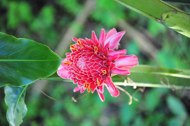 2015-11-14_22-14-57_OFR