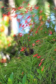 2015-11-15_16-03-29_OFR_1