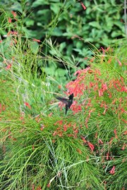 2015-11-15_20-39-57_OFR_1