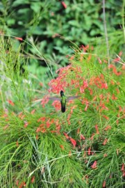 2015-11-15_20-40-03_OFR_1