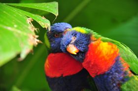 2015-11-15_21-03-17_OFR_1