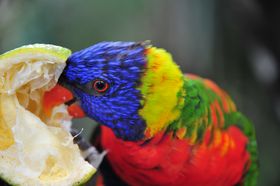 2015-11-15_21-03-51_OFR_1