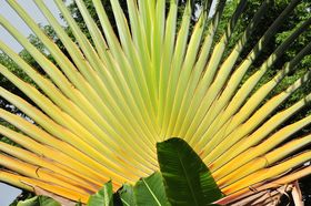 2015-11-15_21-11-29_OFR_1