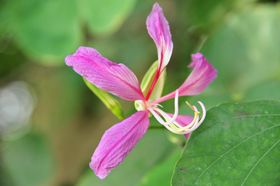 2015-11-15_21-13-55_OFR_1