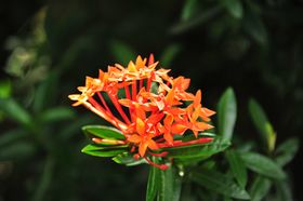 2015-11-15_21-28-04_OFR_1