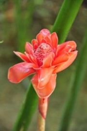 2015-11-15_21-29-44_OFR_1