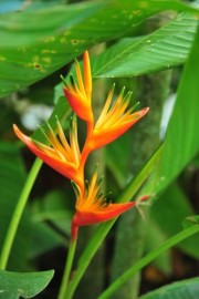 2015-11-15_21-30-30_OFR_1