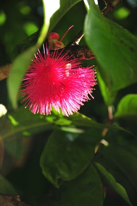 2015-11-15_21-34-04_OFR_1