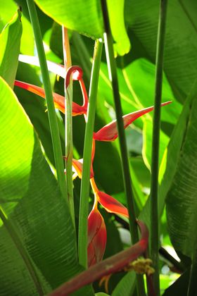 2015-11-15_21-38-27_OFR_1