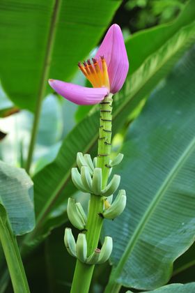 2015-11-15_21-39-37_OFR_1