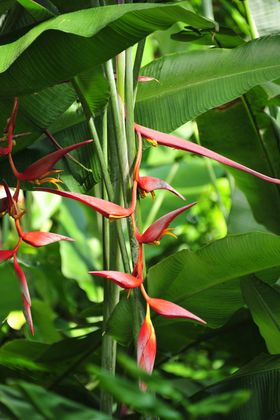 2015-11-15_21-40-14_OFR_1