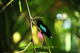 2015-11-15_21-43-44_OFR_1