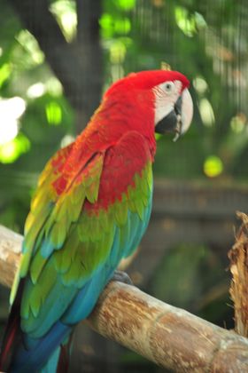 2015-11-15_21-55-51_OFR_1