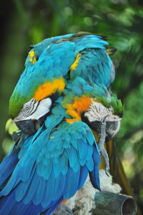 2015-11-15_21-59-28_OFR_1