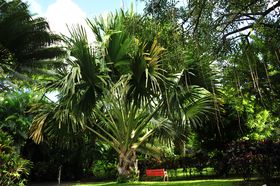 2015-11-15_22-14-42_OFR_1