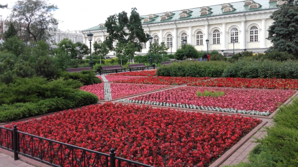 20160608_104314.jpg image