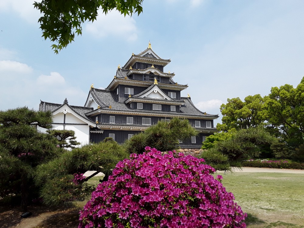 20180423_053814561398540.jpg image