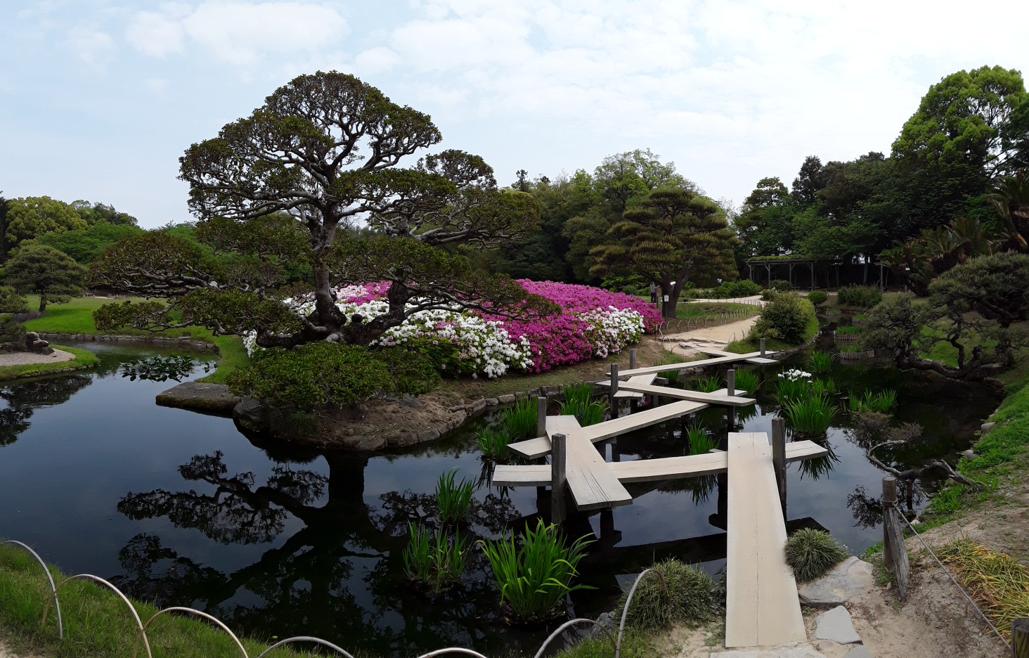 20180423_063126420510651.jpg image