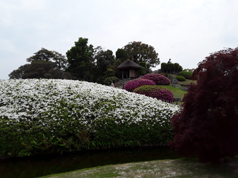 20180423_0640392003124349.jpg image