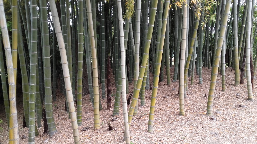 20180423_07432984252189.jpg image